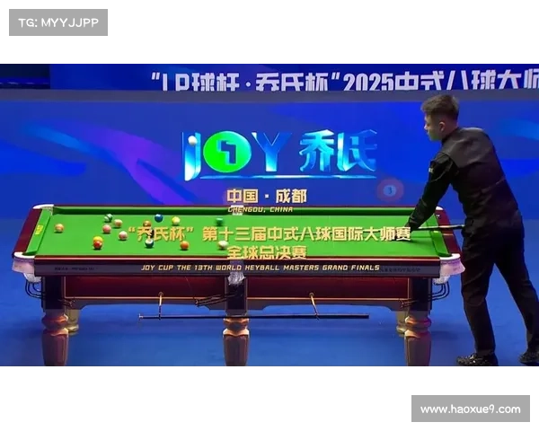 2017中式八球国际公开赛