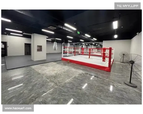 mma赛事 锐武、mma擂台